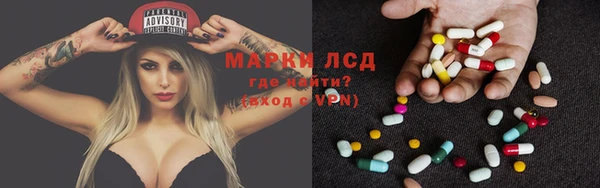 гидра Алексин