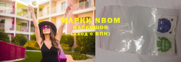 гидра Алексин
